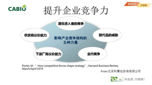 企业知识产权管理与专利信息利用 构建核心竞争力与商业价值的管理咨询策略